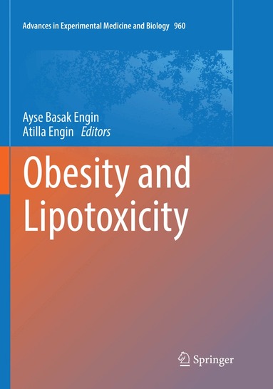 Ayse Basak Engin, Atilla Engin - Obesity and Lipotoxicity, Häftad