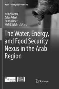 bokomslag The Water, Energy, and Food Security Nexus in the Arab Region