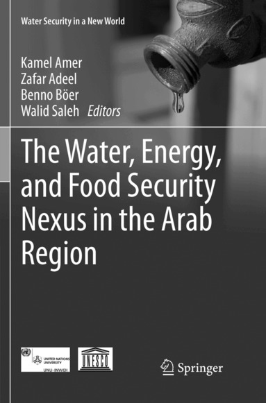 Kamel Amer, Zafar Adeel, Benno Böer, Walid Saleh - Water, Energy, and Food Security Nexus in the Arab Region, Häftad