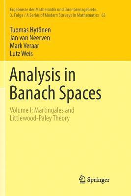 bokomslag Analysis in Banach Spaces