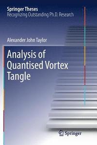 bokomslag Analysis of Quantised Vortex Tangle