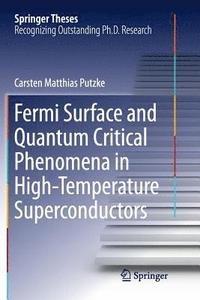 bokomslag Fermi Surface and Quantum Critical Phenomena of High-Temperature Superconductors