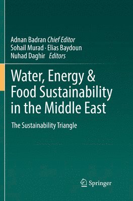 bokomslag Water, Energy & Food Sustainability in the Middle East