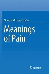 bokomslag Meanings of Pain