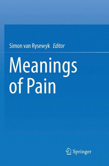 bokomslag Meanings of Pain