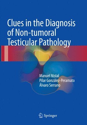 bokomslag Clues in the Diagnosis of Non-tumoral Testicular Pathology