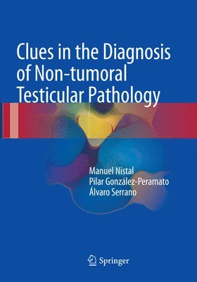 Clues in the Diagnosis of Non-tumoral Testicular Pathology 1