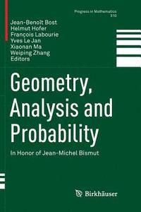 bokomslag Geometry, Analysis and Probability