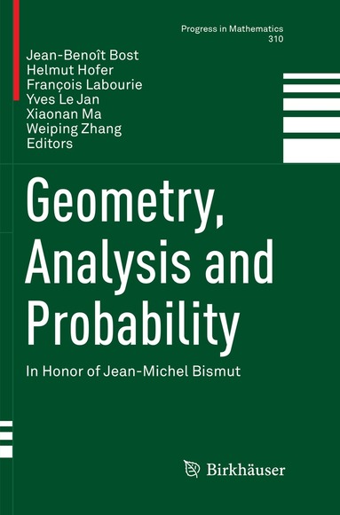 Jean-Benoît Bost, Helmut Hofer, François Labourie, Yves Le Jan, Xiaonan Ma, Weiping Zhang - Geometry, Analysis and Probability, Häftad