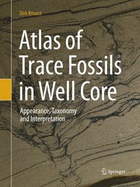 bokomslag Atlas of Trace Fossils in Well Core