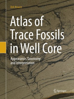 Dirk Knaust - Atlas of Trace Fossils in Well Core, Häftad