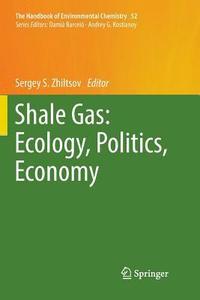bokomslag Shale Gas: Ecology, Politics, Economy