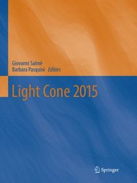 bokomslag Light Cone 2015