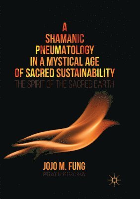 bokomslag A Shamanic Pneumatology in a Mystical Age of Sacred Sustainability