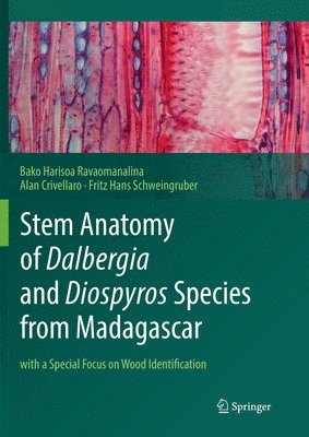 Stem Anatomy of Dalbergia and Diospyros Species from Madagascar 1