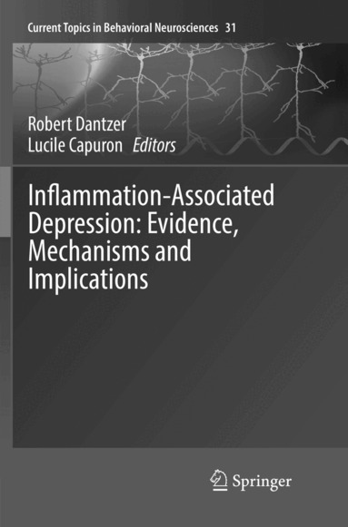 Robert Dantzer, Lucile Capuron - Inflammation-Associated Depression: Evidence, Mechanisms and Implications, Häftad