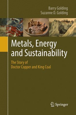 bokomslag Metals, Energy and Sustainability