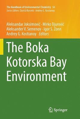 bokomslag The Boka Kotorska Bay Environment