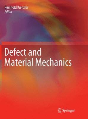 Reinhold Kienzler - Defect and Material Mechanics, Häftad