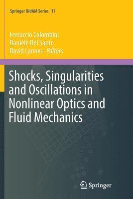 bokomslag Shocks, Singularities and Oscillations in Nonlinear Optics and Fluid Mechanics