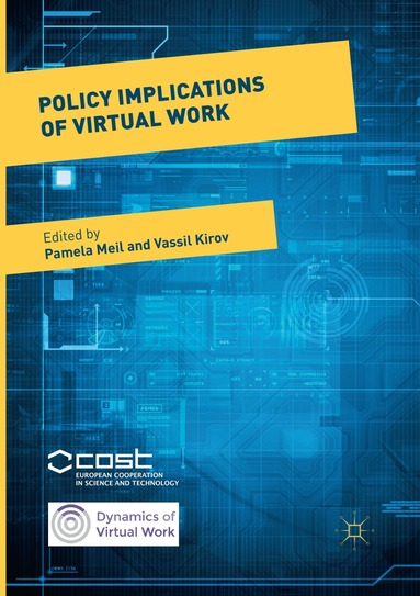 Pamela Meil, Vassil Kirov - Policy Implications of Virtual Work, Häftad