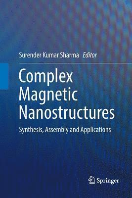 Complex Magnetic Nanostructures 1