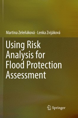 bokomslag Using Risk Analysis for Flood Protection Assessment