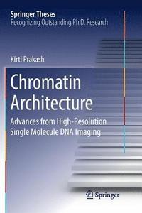 bokomslag Chromatin Architecture