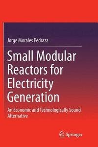 bokomslag Small Modular Reactors for Electricity Generation