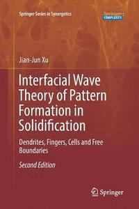bokomslag Interfacial Wave Theory of Pattern Formation in Solidification