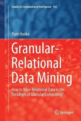 Piotr Hońko, Piotr Honko, Piotr Ho&#324;ko - Granular-Relational Data Mining, Häftad