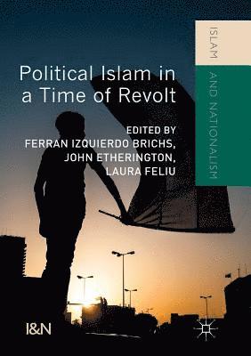 bokomslag Political Islam in a Time of Revolt