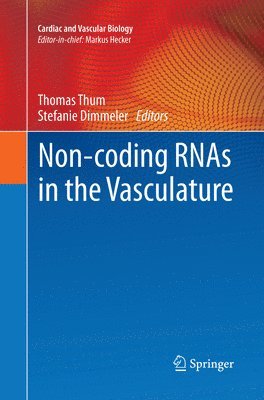 Thomas Thum, Stefanie Dimmeler - Non-coding RNAs in the Vasculature, Häftad