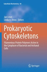 bokomslag Prokaryotic Cytoskeletons