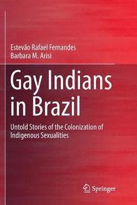 bokomslag Gay Indians in Brazil