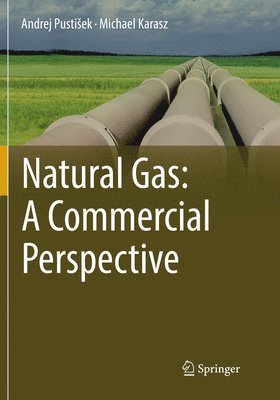 bokomslag Natural Gas: A Commercial Perspective