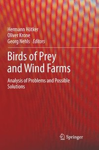 bokomslag Birds of Prey and Wind Farms