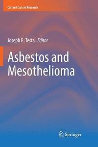 bokomslag Asbestos and Mesothelioma