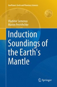 bokomslag Induction Soundings of the Earth's Mantle