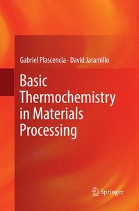 bokomslag Basic Thermochemistry in Materials Processing