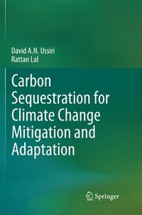 bokomslag Carbon Sequestration for Climate Change Mitigation and Adaptation