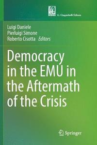 bokomslag Democracy in the EMU in the Aftermath of the Crisis