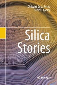 bokomslag Silica Stories