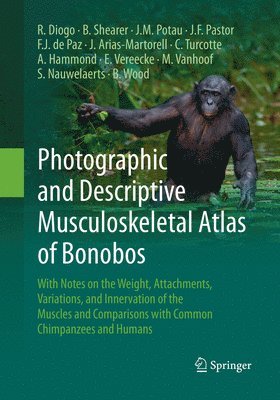 bokomslag Photographic and Descriptive Musculoskeletal Atlas of Bonobos