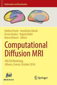 bokomslag Computational Diffusion MRI