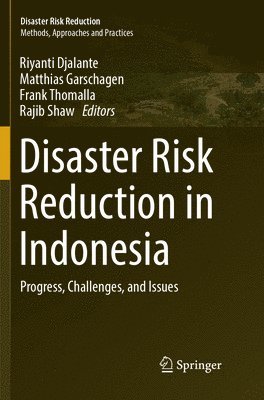 bokomslag Disaster Risk Reduction in Indonesia