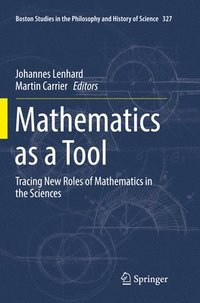 bokomslag Mathematics as a Tool