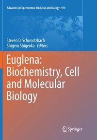 bokomslag Euglena: Biochemistry, Cell and Molecular Biology