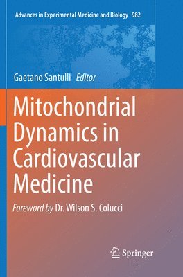 bokomslag Mitochondrial Dynamics in Cardiovascular Medicine