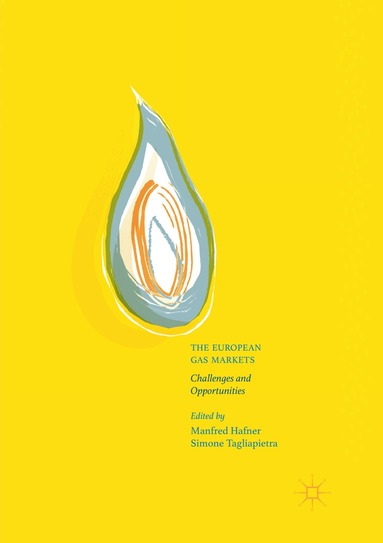 Manfred Hafner, Simone Tagliapietra - European Gas Markets, Häftad